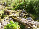 SDC11110.JPG