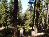 SDC11116.JPG