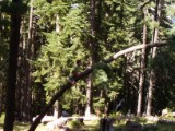 SDC11118.JPG