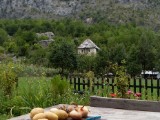 SDC11143.JPG