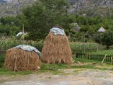 SDC11145.JPG