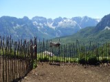SDC11181.JPG