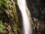 SDC11204.JPG