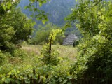 SDC11231.JPG