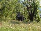 SDC11234.JPG