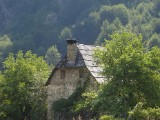 SDC11236.JPG