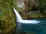 SDC11238.JPG
