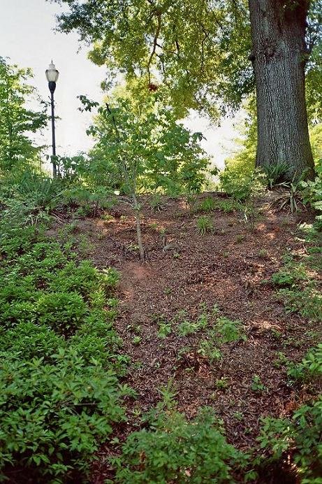 1.04 Piedmont Park Find the Squirrel