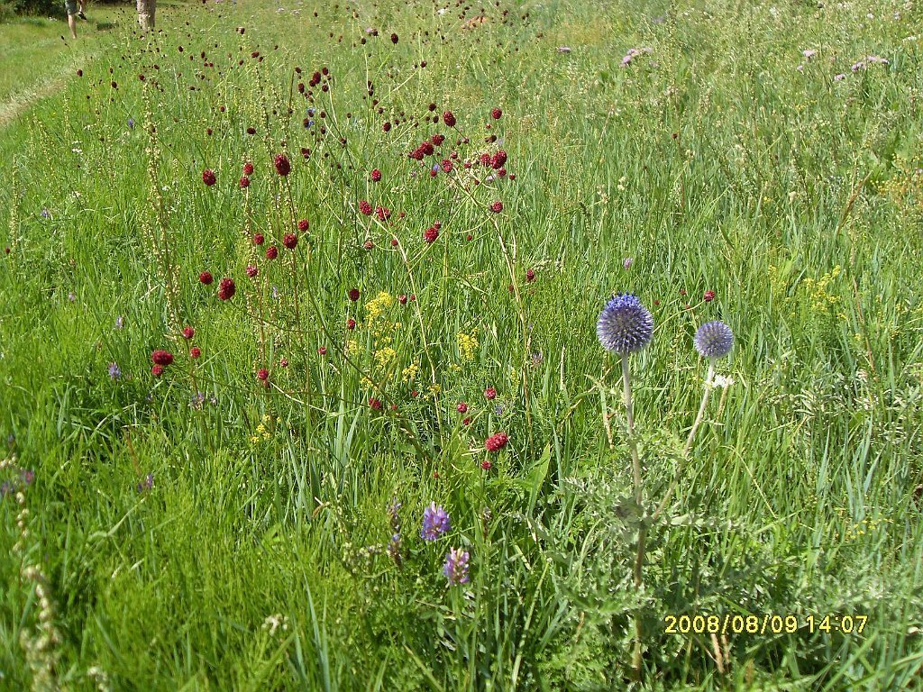 SDC10105