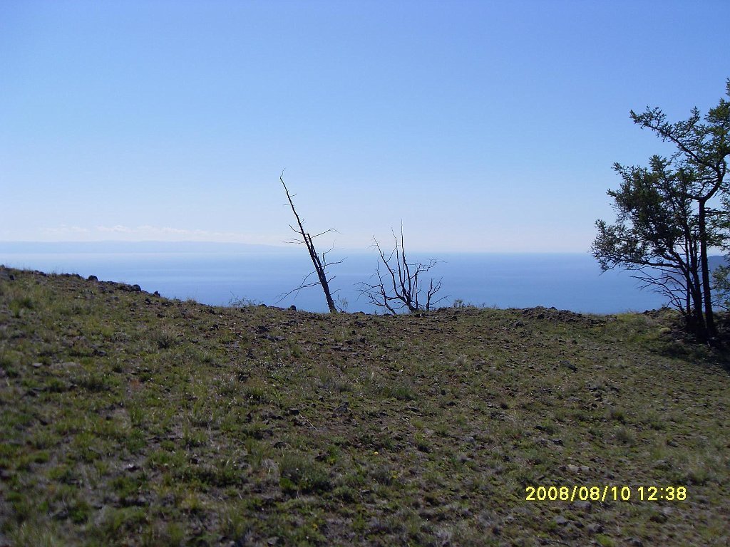 SDC10134