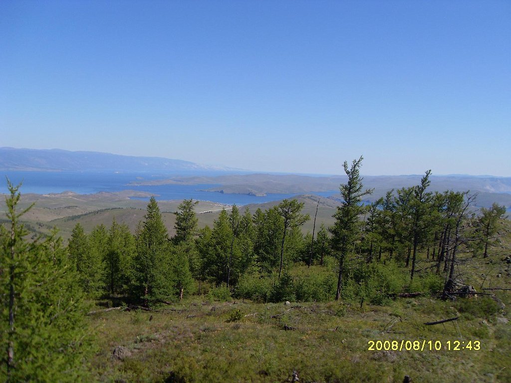 SDC10135