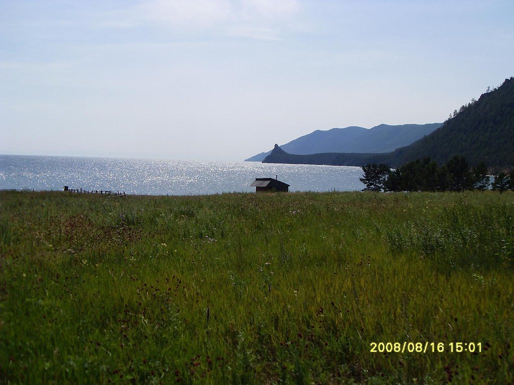 SDC10231
