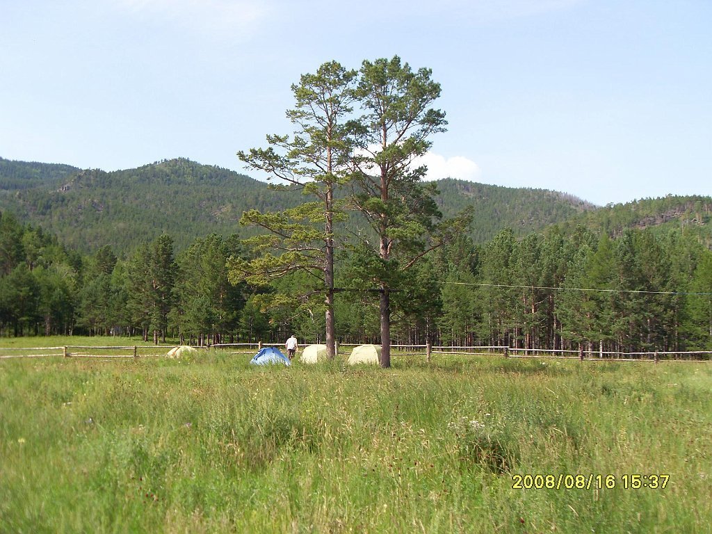 SDC10232