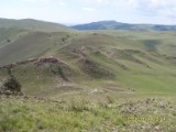 SDC10096.JPG