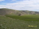 SDC10103.JPG