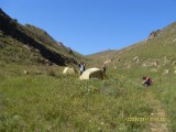 SDC10139.JPG