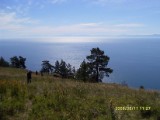SDC10161.JPG