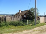 SDC10172.JPG