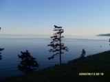 SDC10187.JPG