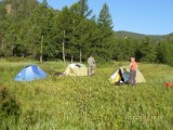 SDC10195.JPG