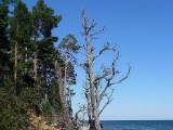 SDC10202.JPG
