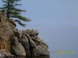 SDC10220.JPG