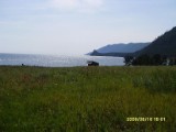 SDC10231.JPG
