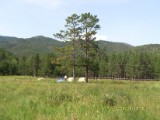 SDC10232.JPG