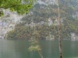 SDC11489.JPG