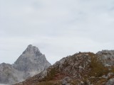 SDC11520.JPG