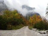 SDC11531.JPG
