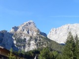 SDC11541.JPG
