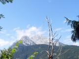 SDC11715.JPG