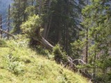 SDC11725.JPG