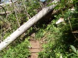 SDC11727.JPG