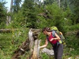 SDC11729.JPG
