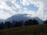 SDC11739.JPG