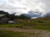 SDC11744.JPG