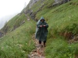SDC11746.JPG