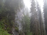 SDC11751.JPG