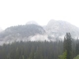 SDC11757.JPG