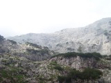 SDC11768.JPG