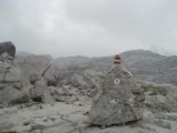 SDC11777.JPG