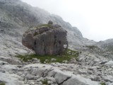 SDC11781.JPG