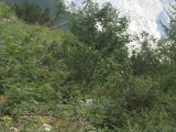 SDC11793.JPG