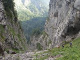 SDC11796.JPG
