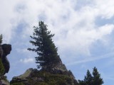 3f_GamshuetteZumFriesenberghaus.JPG