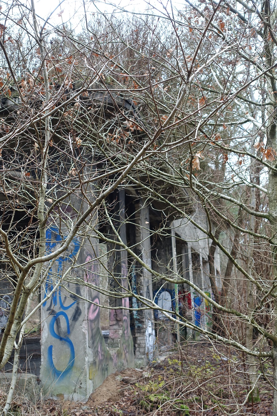 DSC04423