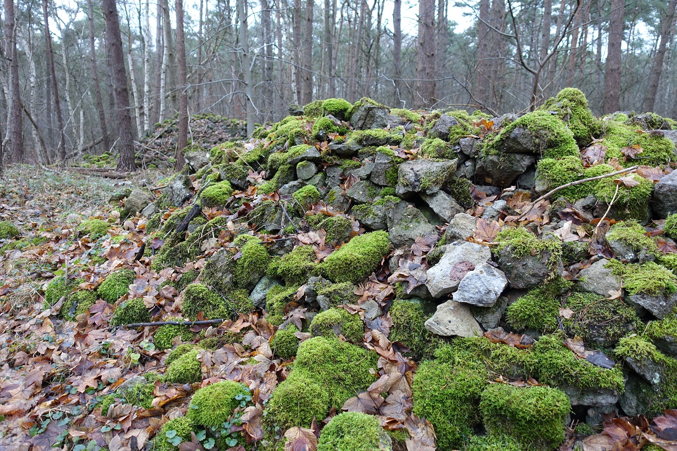 DSC04552