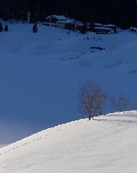 Davos